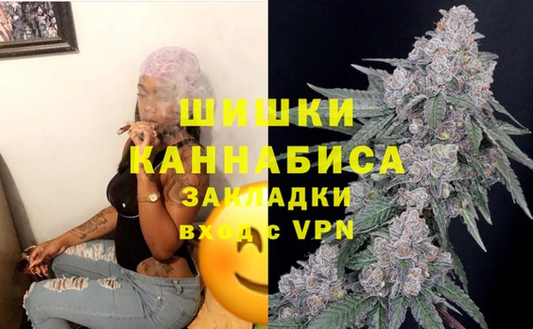 мяу мяу мука Белокуриха