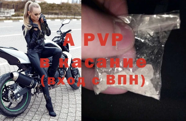 мяу мяу мука Белокуриха