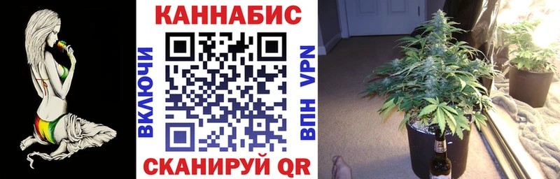 наркота  Владикавказ  Каннабис гибрид 